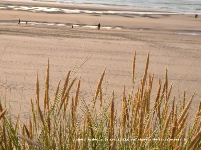 Dunes du Touquet Paris Plage